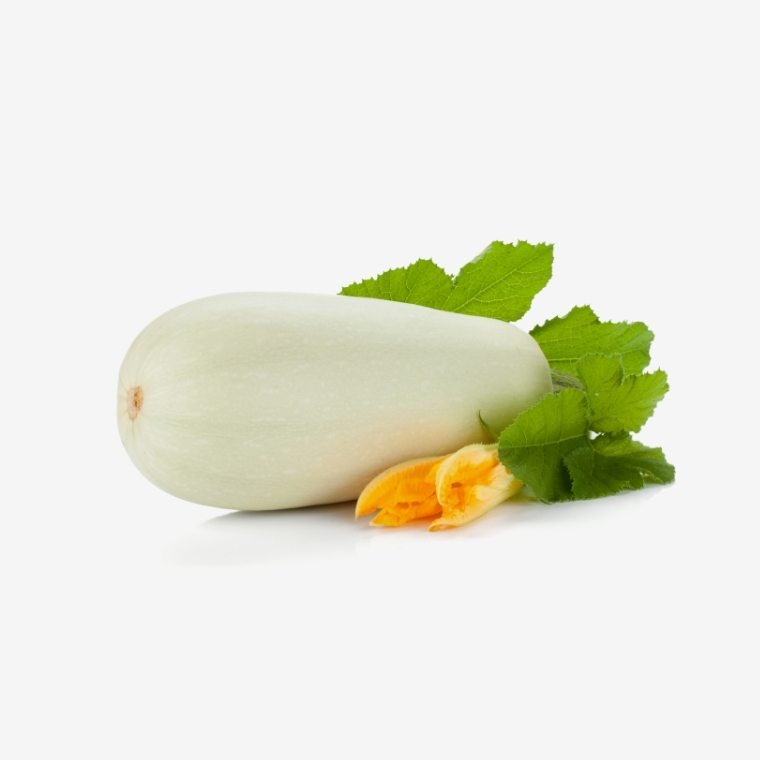 Producto de prueba para la capacitacion - Image 2