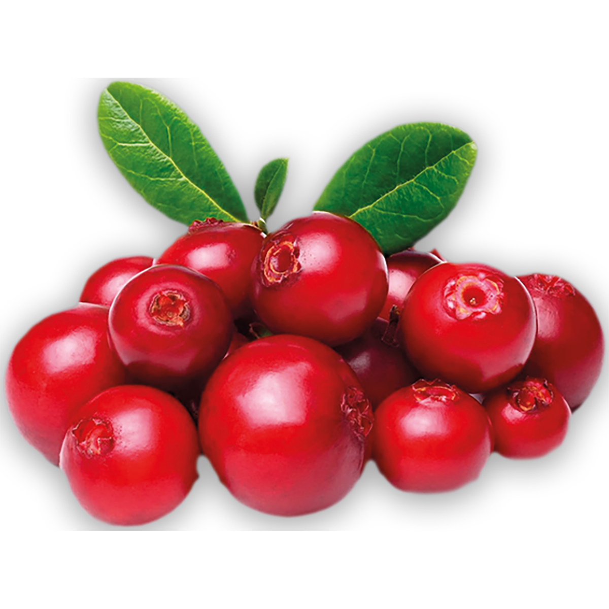 Jarabe Natural Punch Arándano 1 Galón (3.78 L) - Image 2